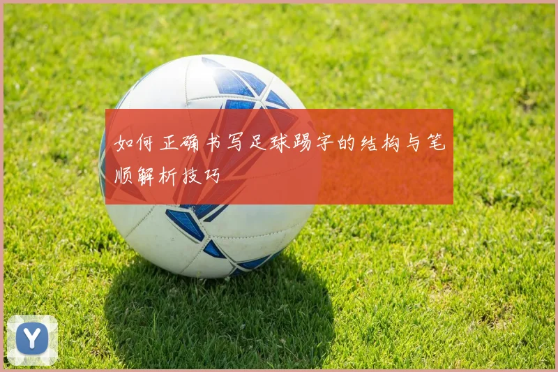 如何正确书写足球踢字的结构与笔顺解析技巧
