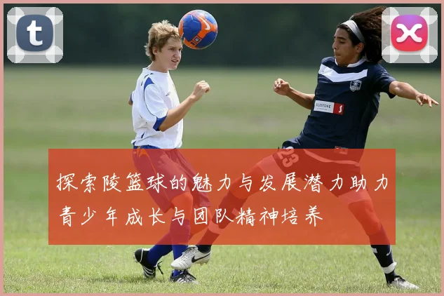 探索陵篮球的魅力与发展潜力助力青少年成长与团队精神培养