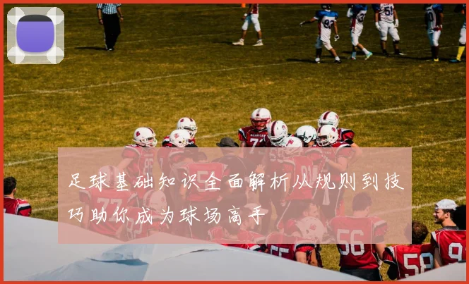 足球基础知识全面解析从规则到技巧助你成为球场高手