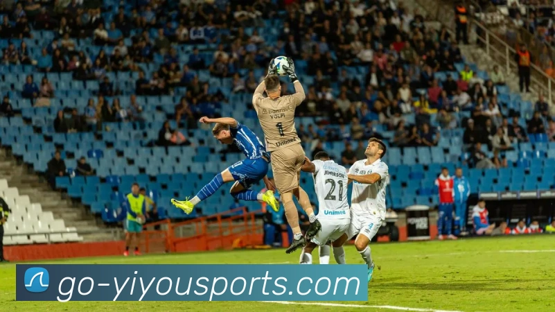 YY易游体育服务体系