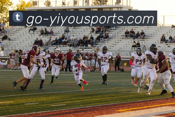 YY易游体育APP 体育赛事宣传图